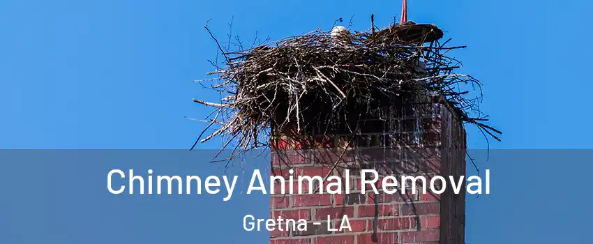 Chimney Animal Removal Gretna - LA