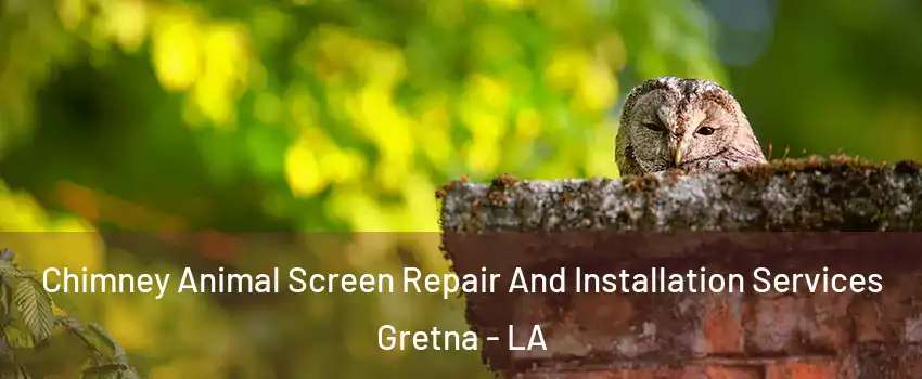 Chimney Animal Screen Repair And Installation Services Gretna - LA