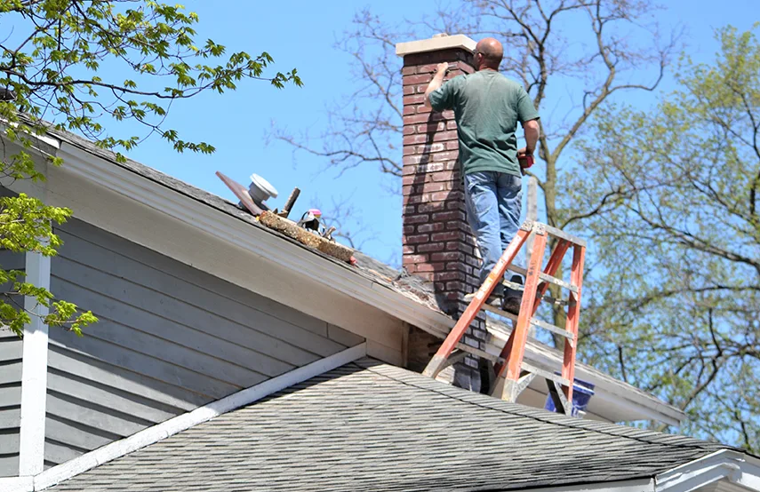 Chimney & Fireplace Inspections Services in Gretna, LA